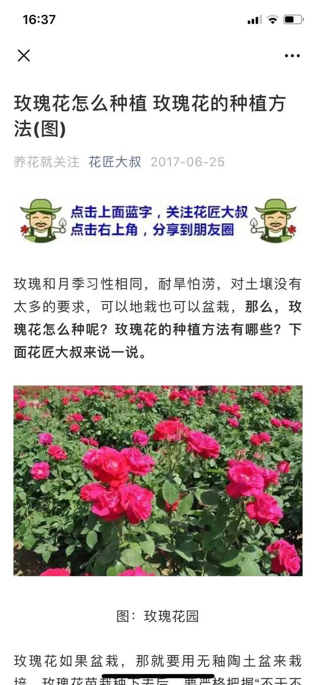 玩轉微信SEO引流不斷玩轉微信SEO引流案例實操