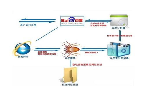 什么是搜索引擎蜘蛛？