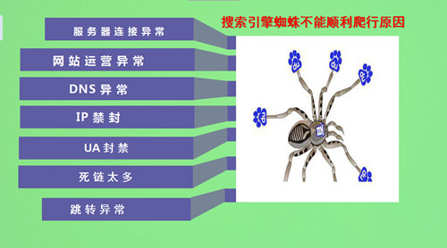 搜索引擎的蜘蛛是如何爬的，如何吸引蜘蛛來抓取頁面